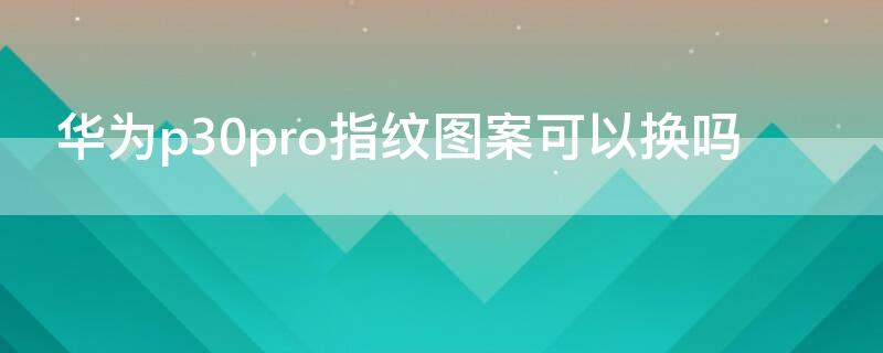 华为p30pro指纹图案可以换吗（华为p30pro设置指纹）