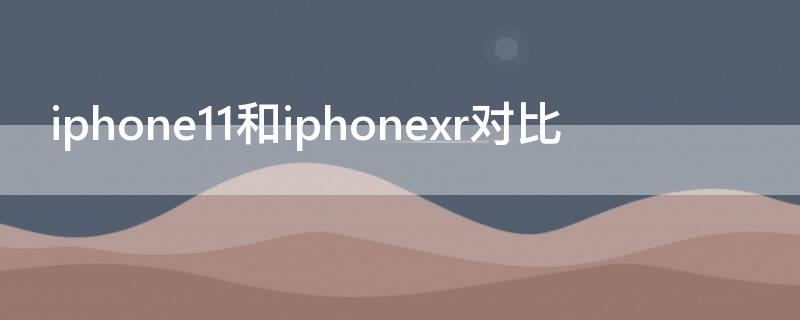 iPhone11和iPhonexr对比 iphone11和iphonexr对比参数