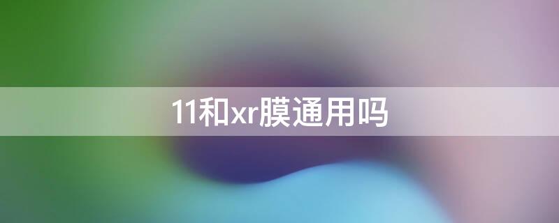 11和xr膜通用吗 苹果11和xr膜通用吗