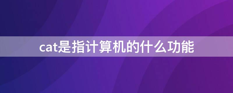 cat是指计算机的什么功能 计算机术语中cat表示什么