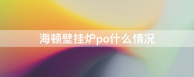 海顿壁挂炉po什么情况（海顿壁挂炉po什么意思）