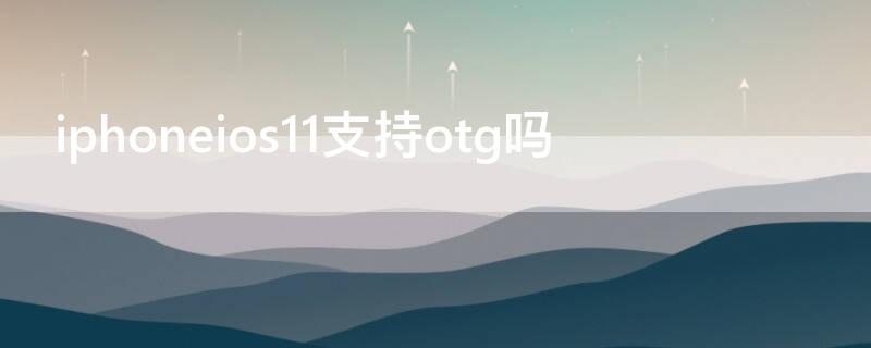 iPhoneios11支持otg吗（苹果11支持OTG吗）