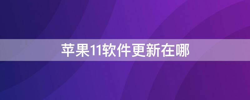 iPhone11软件更新在哪 iphone11软件更新在哪里