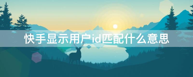 快手显示用户id匹配什么意思 快手id和用户id是一个吗