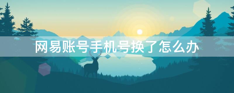 网易账号手机号换了怎么办（网易手机号登录换手机号怎么办）