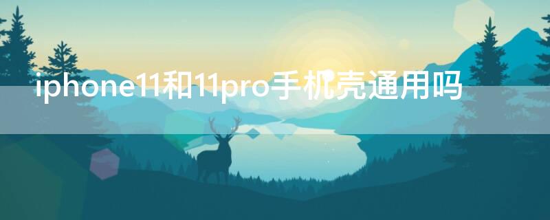 iPhone11和11pro手机壳通用吗（iphone11和11pro的手机壳通用吗）