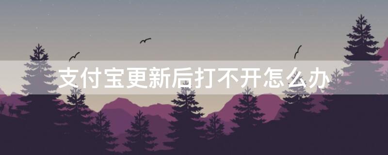 支付宝更新后打不开怎么办 支付宝更新后打不开怎么回事