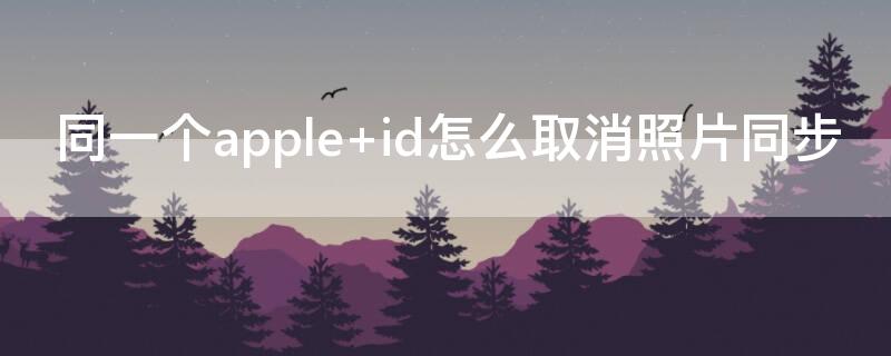 同一个apple（同一个appleid怎么取消软件同步）