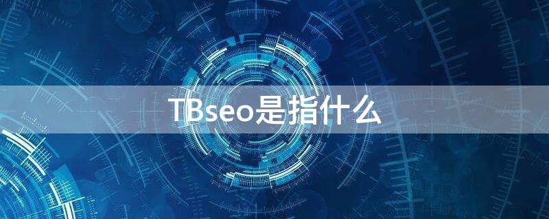 TBseo是指什么 TBSS是什么