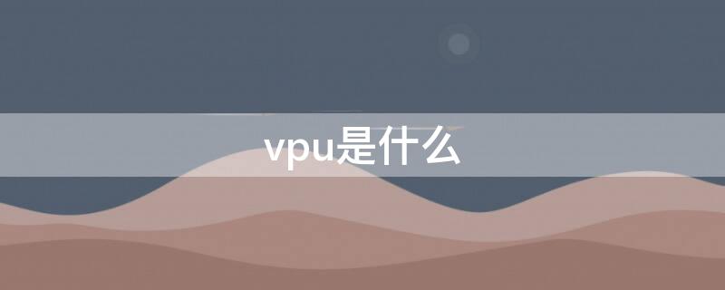 vpu是什么 cpu是什么材料