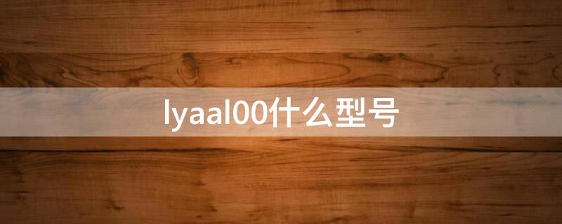 lyaal00什么型号 lyaal00参数