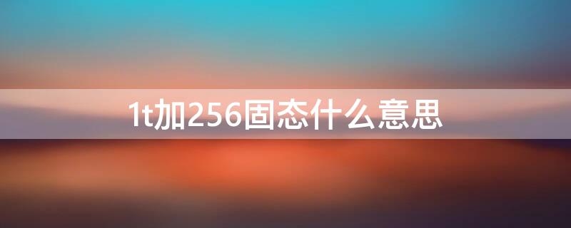 1t加256固态什么意思（256固态好还是128加1t）