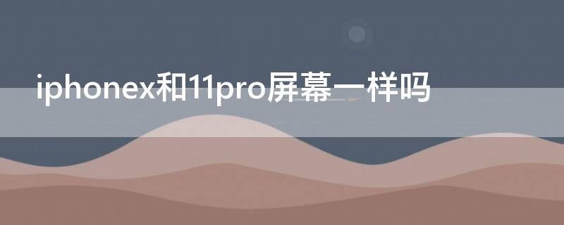 iPhonex和11pro屏幕一样吗（iphonex和11pro的屏幕）