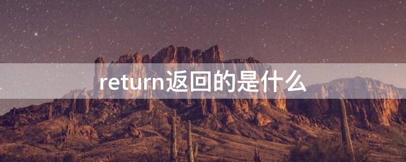 return返回的是什么 return返回的是什么类型