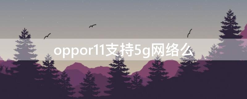 oppor11支持5g网络么 oppor11支持5g网络吗