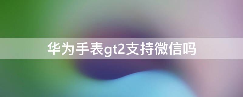 华为手表gt2支持微信吗 华为GT2手表支持微信吗