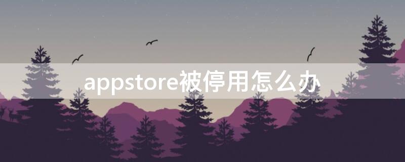 appstore被停用怎么办 appstore停用怎么解决全部过程