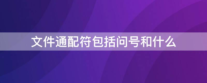 文件通配符包括问号和什么（通配符问号代表什么字符）