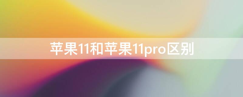 iPhone11和iPhone11pro区别（iphone11和pro的区别）