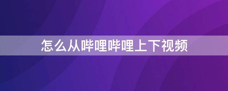 怎么从哔哩哔哩上下视频 怎样在电视上下载哔哩哔哩