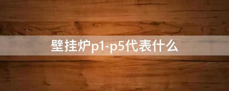 壁挂炉p1-p5代表什么（天然气壁挂炉p1-p5怎么回事）