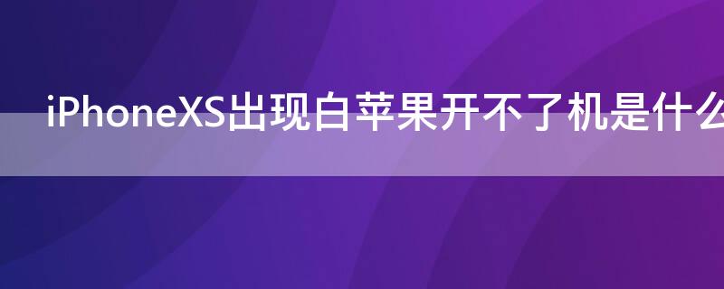 iPhoneXS出现白iPhone开不了机是什么原因 苹果xs出现白苹果开不了机