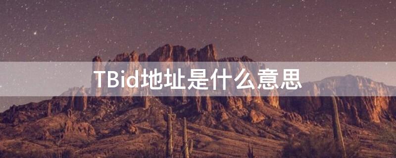 TBid地址是什么意思（tbd中心是什么意思）