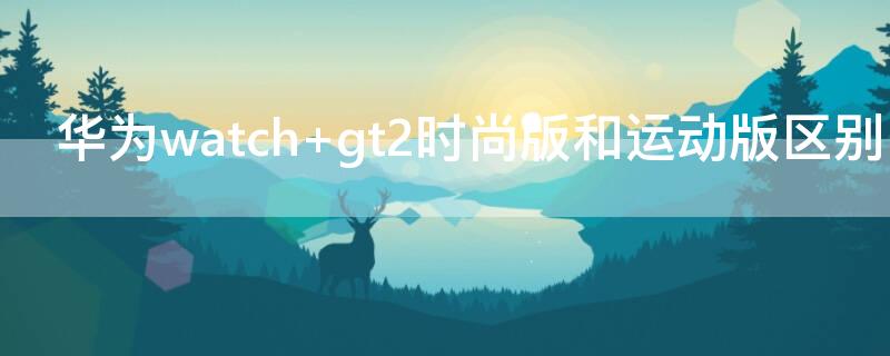 华为watch 华为watch gt2