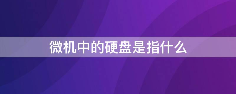 微机中的硬盘是指什么（微机中的硬盘是指什么的）