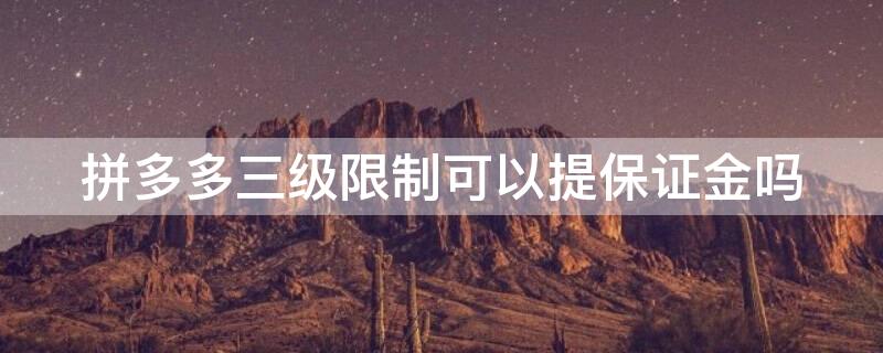 拼多多三级限制可以提保证金吗 拼多多三级限制交了保证金可以立刻上架吗