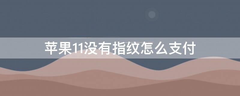 iPhone11没有指纹怎么支付（iphone11没有指纹怎么付款）