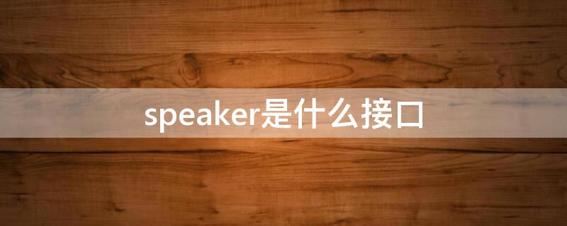 speaker是什么接口（rear speaker是什么接口）