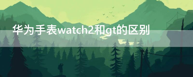 华为手表watch2和gt的区别 华为手表watch gt2和gt的区别