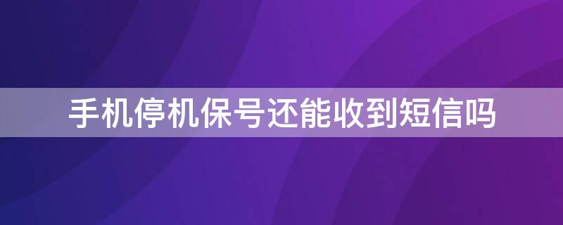 手机停机保号还能收到短信吗（手机停机保号还能收到短信吗怎么办）