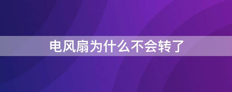 电风扇为什么不会转了（电风扇 不会转）