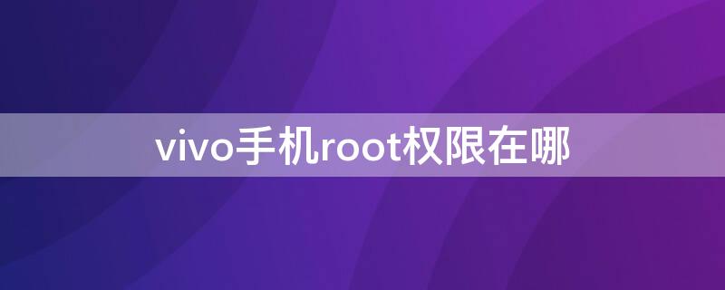 vivo手机root权限在哪（vivo手机root权限在哪里）