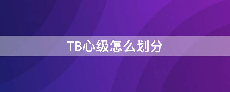 TB心级怎么划分（tb是什么等级）