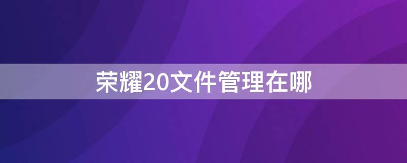 荣耀20文件管理在哪（荣耀20文件管理在哪下载）