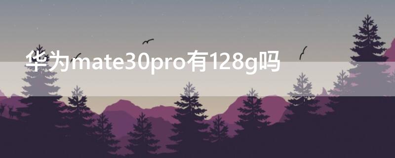 华为mate30pro有128g吗 华为mate30pro5g有128g的吗