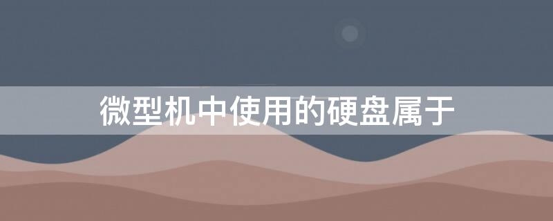 微型机中使用的硬盘属于 微型机中使用的硬盘属于什么设备