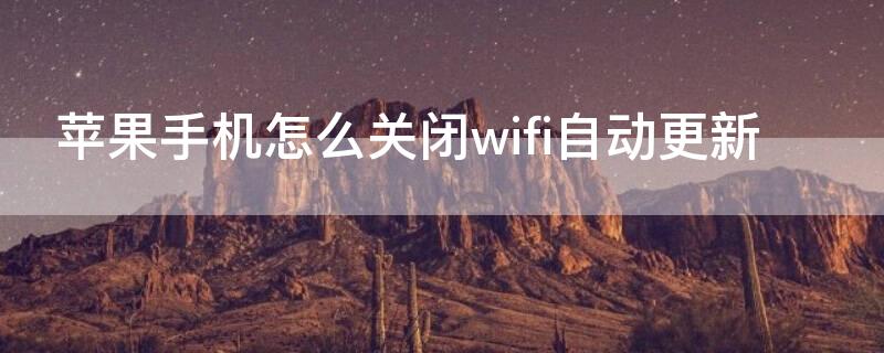 iPhone手机怎么关闭wifi自动更新 怎么关闭苹果手机wifi自动更新