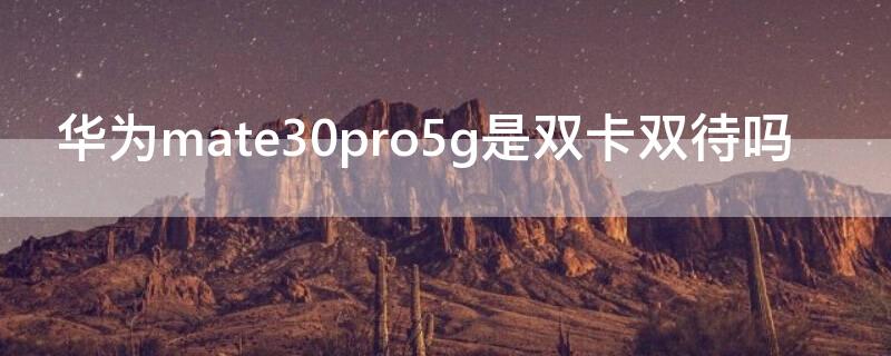 华为mate30pro5g是双卡双待吗（华为mate30pro5g是不是双卡双待）