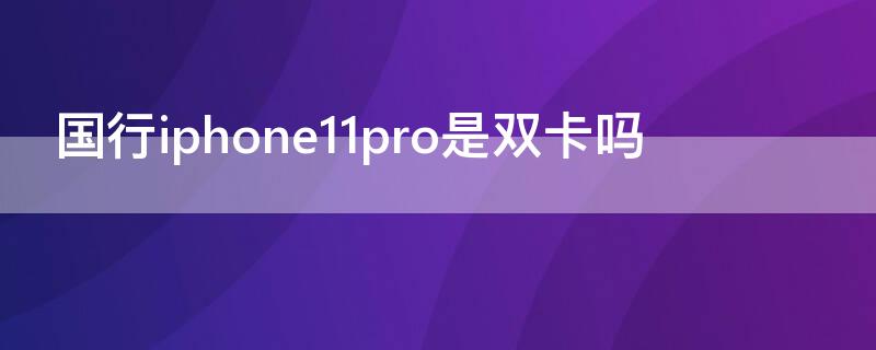 国行iPhone11pro是双卡吗 iphone11pro国行支持双卡吗