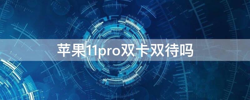 iPhone11pro双卡双待吗 iPhone11pro支持双卡双待吗