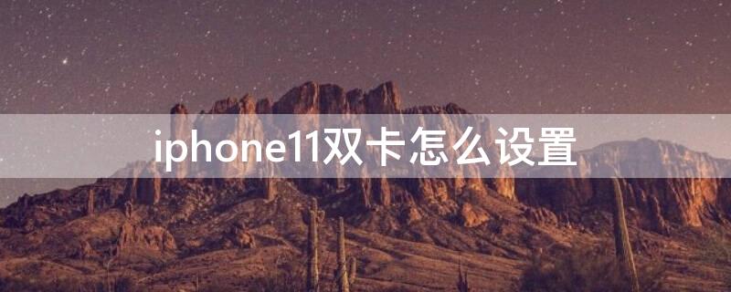 iPhone11双卡怎么设置（iPhone11双卡怎么设置用哪个卡发信息）