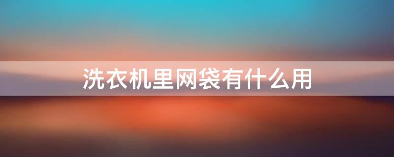 洗衣机里网袋有什么用 洗衣机筒里面有个网袋是干嘛用的?