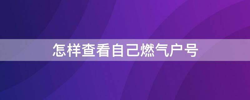 怎样查看自己燃气户号 怎样查看自己燃气户号?