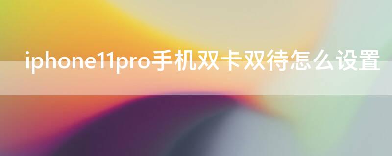 iPhone11pro手机双卡双待怎么设置 苹果11pro双卡双待怎么设置