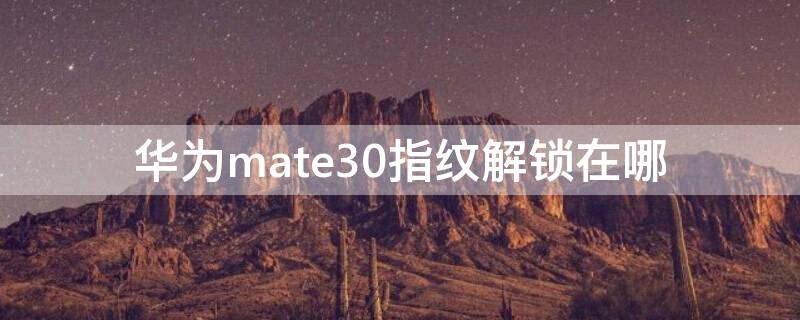 华为mate30指纹解锁在哪（华为mate30指纹解锁在哪个位置）