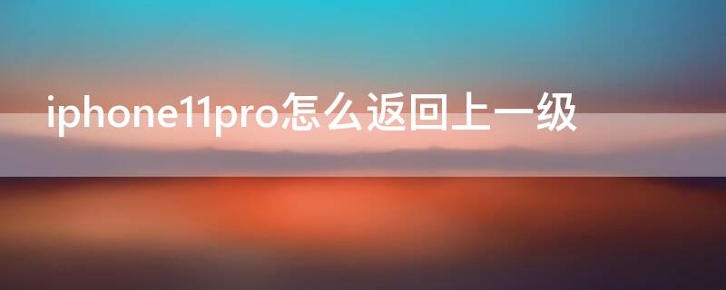 iPhone11pro怎么返回上一级 iphone11pro怎么设置返回上一级